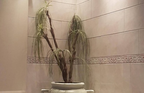 Don Torcuato Hotel | Real Horizonte Hotel (Motel)