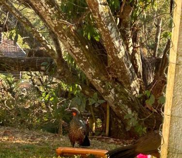 Campos do Jordao House | Recanto da Valentina