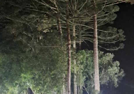 Palmeira House | Recanto de Paz em meio a Natureza!
