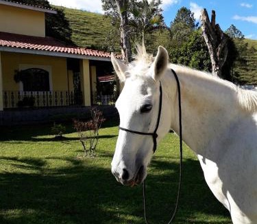 Pindamonhangaba House | Recanto do Ribeirão