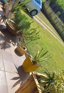 Dom Vicoso House | Recanto dos Sonhos - Bocaina
