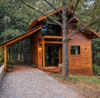 Mata Ski Chalet | Refúgio dos Pinus