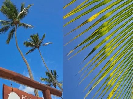 Rio Formoso Apartment | Refúgio exclusivo Eco Resort praia dos Carneiros