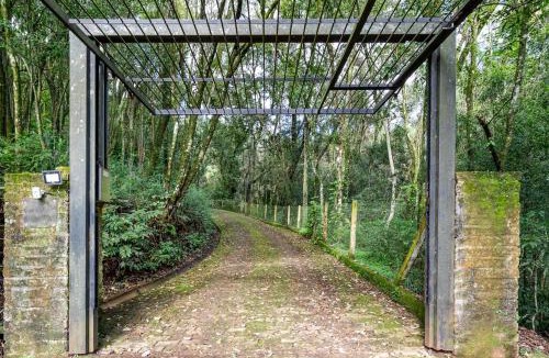 Lindolfo Collor House | Refúgio Mata Alta
