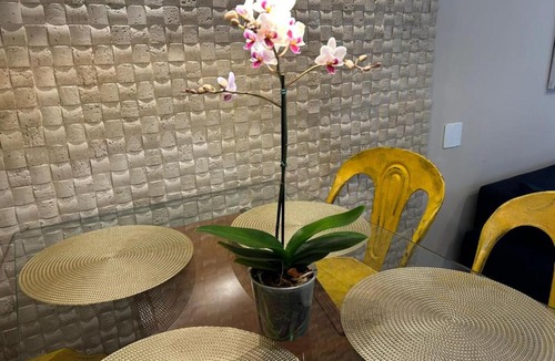 Vila Suzana Apartment | Refúgio Morumbi: Piscina aquecida e espaço gourmet