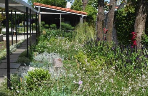 Carmen de Areco House | Relax y Naturaleza en un pueblo del interior de BA