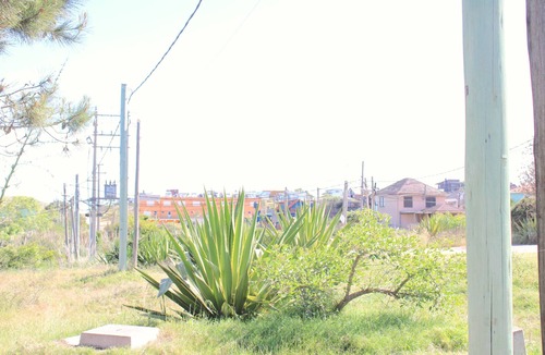 Punta del Diablo Cabin | remote work - nature - 800m town center