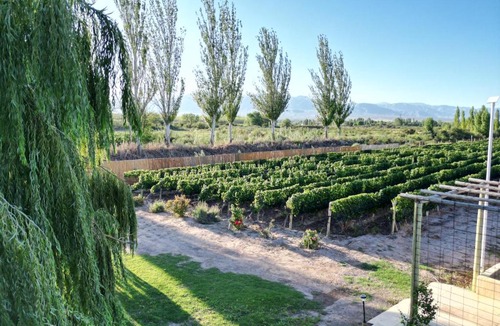 Lujan de Cuyo Other | Rincon del Malbec 1