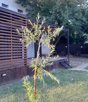 Parana Department Cabin | Rincon del Sauce