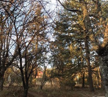 Cosquin Ski Chalet | Rodolfo cabaña