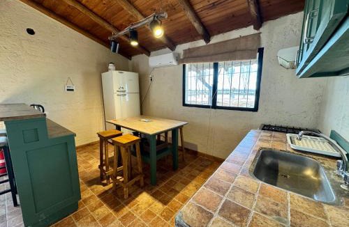 Vista Flores Ski Chalet | Ruca Raíz - Casa de campo en finca familiar con vista a la montaña, Tupungato