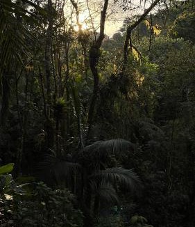 Tapirai House | Sítio Paraíso