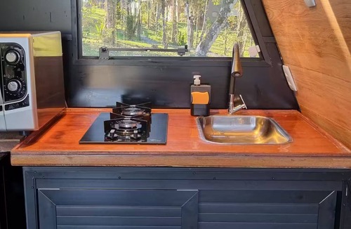 Alfredo Wagner House | Serra Root Chalet