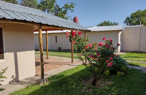 Rama Caida House | Siempre Verde