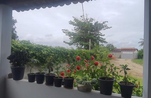 Inhambupe Bed & Breakfast | Sitio Rancho Feliz