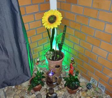 Pedrita Apartment | Sol do Girassol