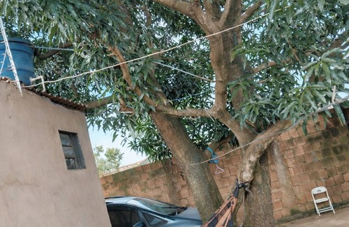 Nova Campo Grande House | Spacious, tree-lined house with a hammock for relaxing. Playground, close to the airport.