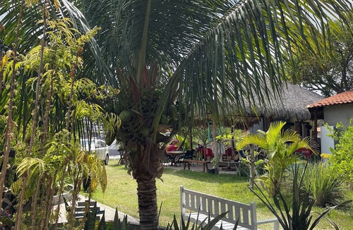 Santo Amaro do Maranhao Ski Chalet | Sucuruju Room (triple)