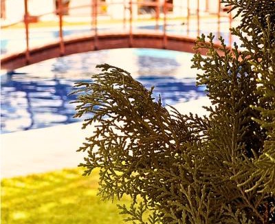 Canoa Quebrada Apartment | SW Rustica Apartamentos