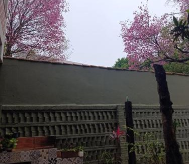 Asuncion House | Taguato B&B