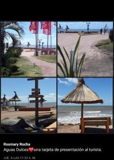 Aguas Dulces House | Techos amarillos 1