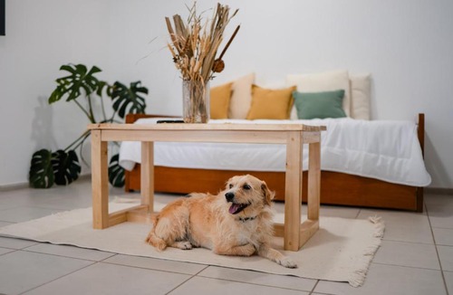 General Roca Apartment | Temporario Sur, Depto ideal familias con cuna Pet-friendly, zona IUPA