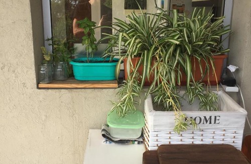 Tigre Apartment | Terrazas Reconquista 2A