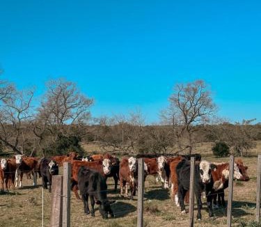 Canelones Bed & Breakfast | Tierra Mora - Posada de Campo