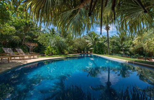 Pipa Hotel | Toca da Coruja - Eco Luxury Retreat