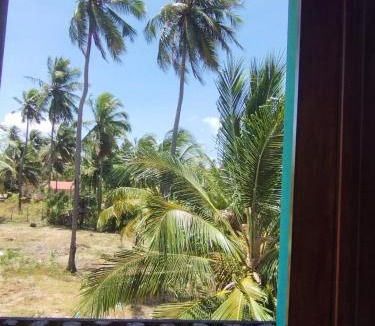 Moitas Other | Vila Samin Moitas