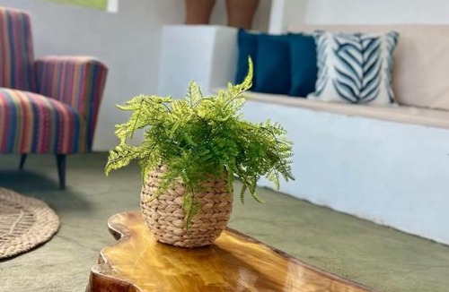 Montanha House | Villa capim Santo