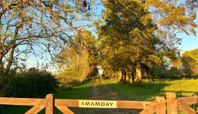 Amambay Casa de Campo y Arte en Areco
