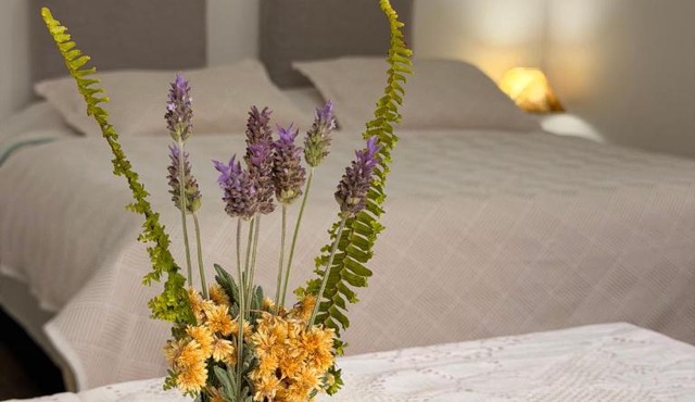 Apartamento El Arrayán in Tacuarembó
