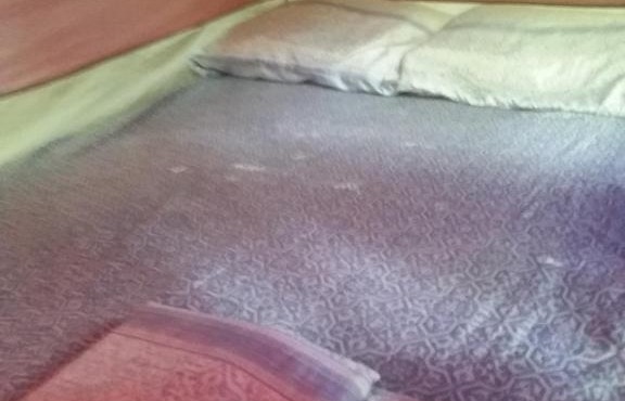 Barraca de Camping EccoMuna in Alter do Chão