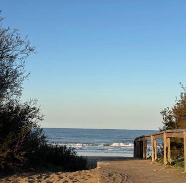 Beach House and Nature