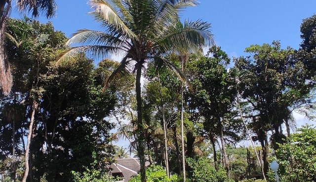 Single storey house with private pool, barbecue and nature. Close to the beach! in Balneario Praia do Pernambuco Guarujá