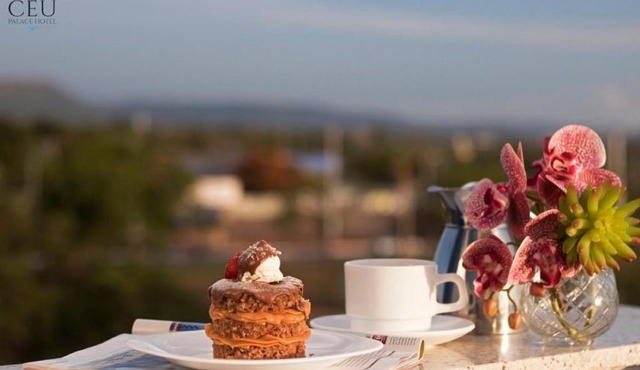 Céu Palmas Hotel
