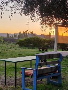 Cabaña Oliva - Privacidad frente a los viñedos