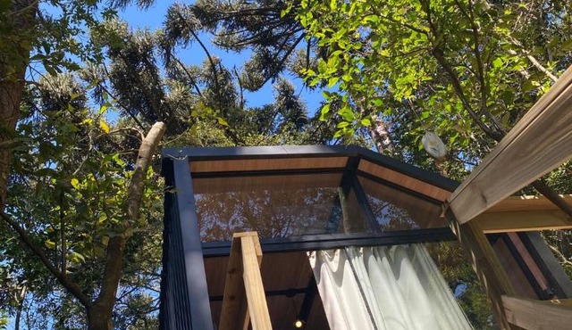 Cabana da Floresta Encantada Fee Haus