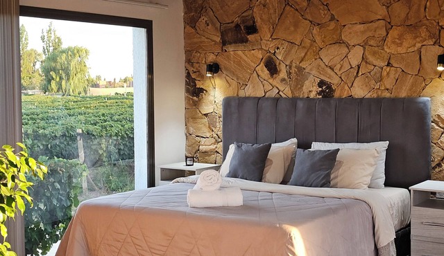 Cabin Vineyard Retreat in Mendoza
