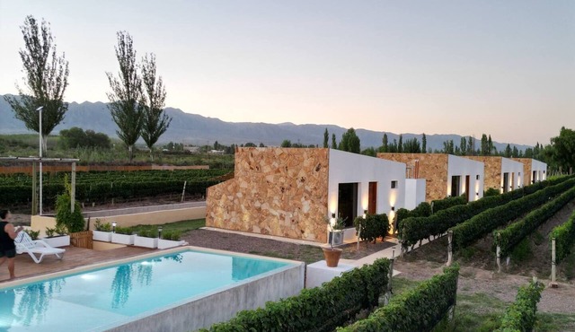 Cabin Vineyard Retreat in Mendoza