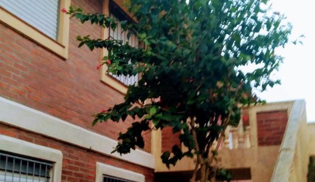 Cafofo da Rosane in Pelotas