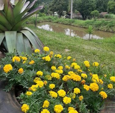 Canto do Beija-flor Rolante RS