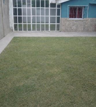 Casa Del Pino