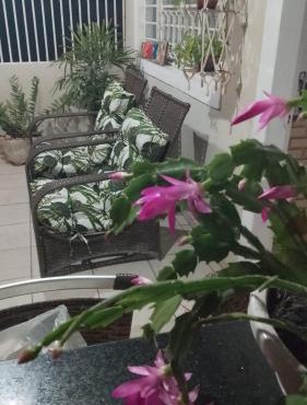 Casa do Bosque