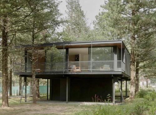 Casa entre pinos