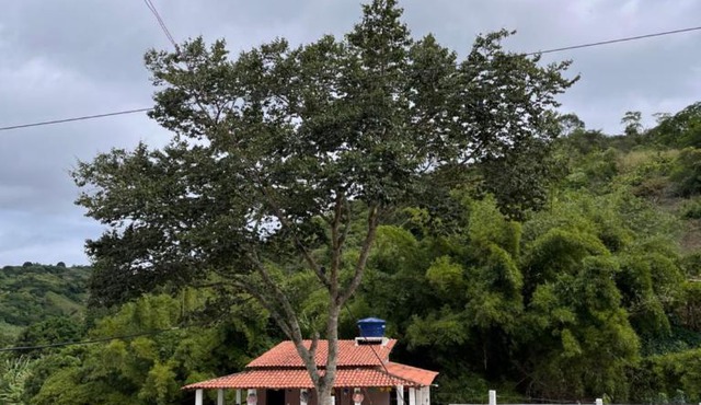Chácara dos avós L&A in Borborema