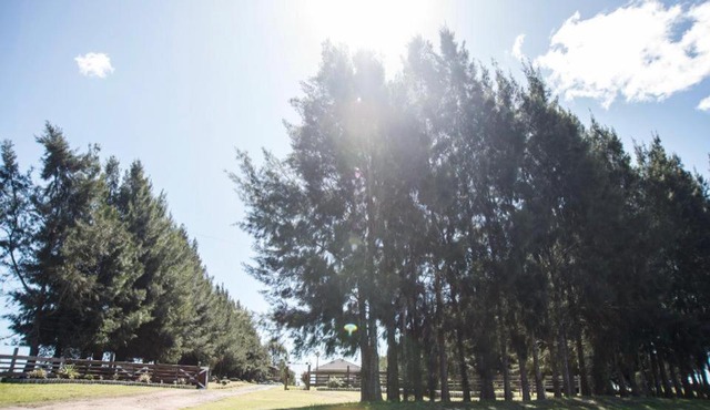 Chacra Los Arándanos in Carlos Reyles