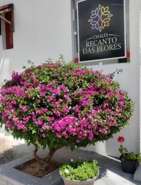 Chalés Recanto das Flores RN