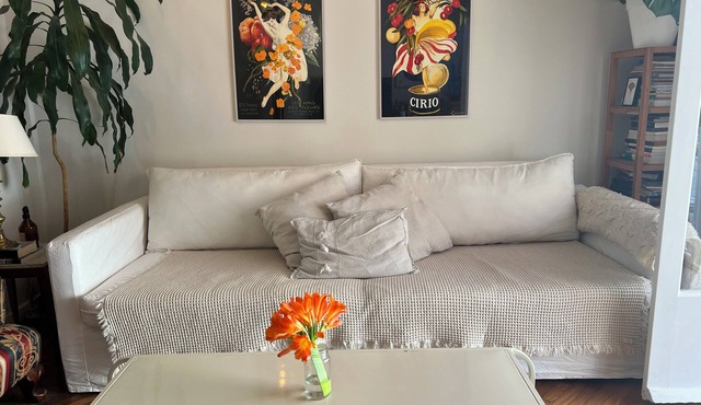 Charming 2-bedroom apartment in marvelous Punta Carretas Montevideo. in Montevideo